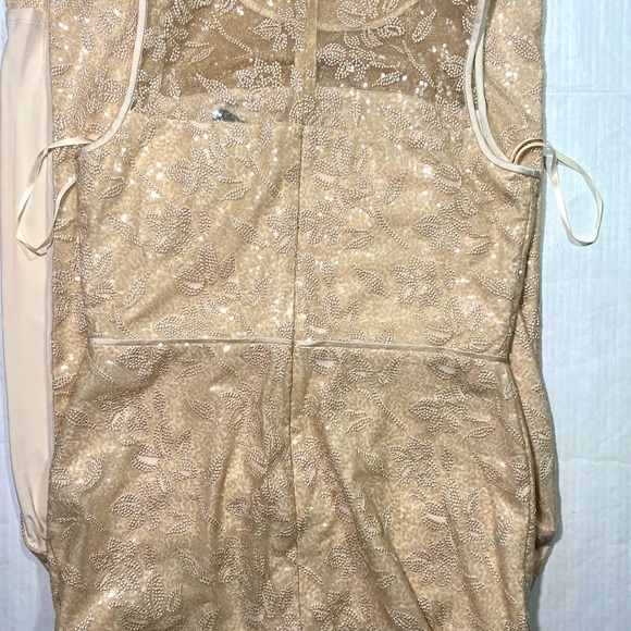 Lauren Ralph Lauren Embroidered Sequins Sleeveless Champagne MaXi Dress NWT 12 - Picture 6 of 15